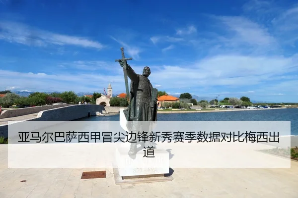 ya-ma-er-ba-sa-xi-jia-mao-jian-bian-feng-xin-xiu-sai-ji-shu-ju-dui-bi-mei-xi-chu-dao-3-532.jpg