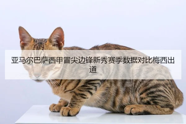 亚马尔巴萨西甲冒尖边锋新秀赛季数据对比梅西出道