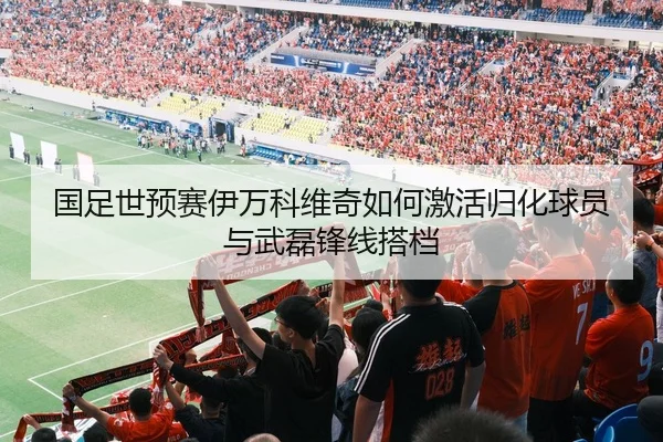 国足世预赛伊万科维奇如何激活归化球员与武磊锋线搭档