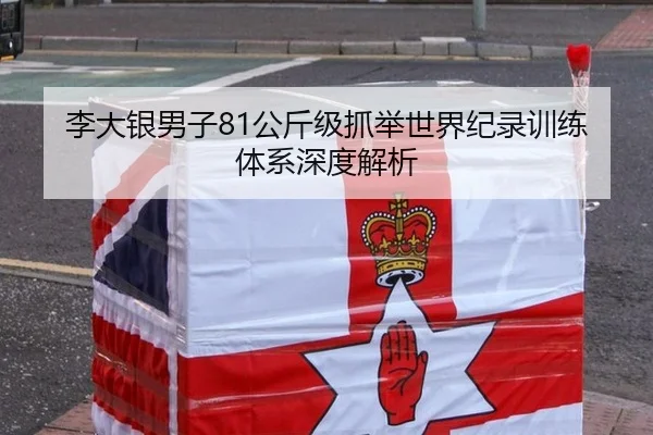 李大银男子81公斤级抓举世界纪录训练体系深度解析