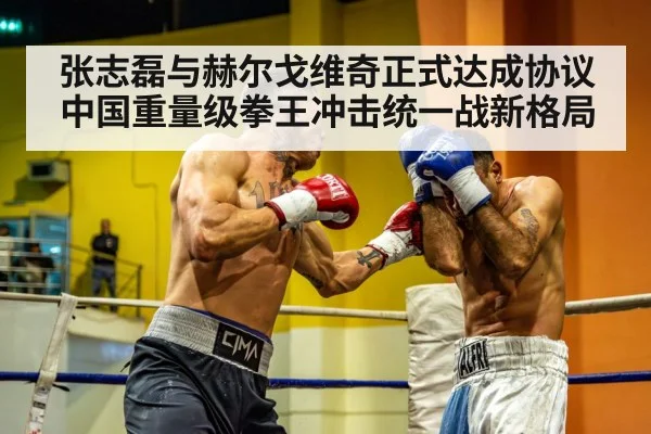 张志磊与赫尔戈维奇正式达成协议 中国重量级拳王冲击统一战新格局